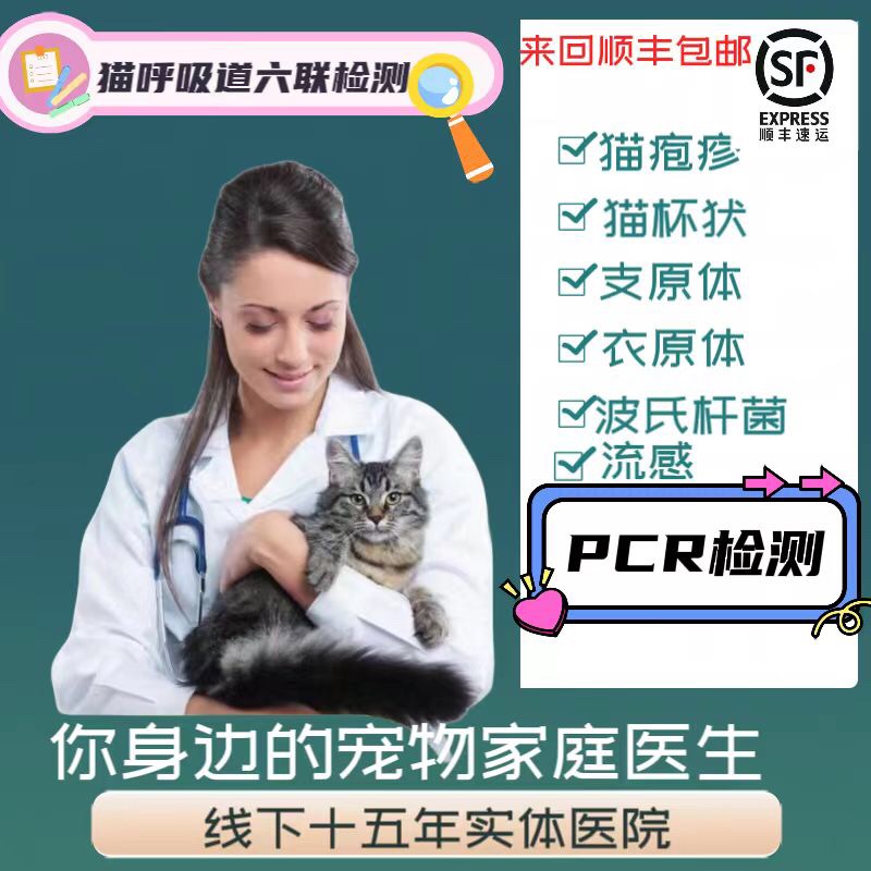 呼吸道疱疹打喷嚏鼻涕猫鼻支口炎