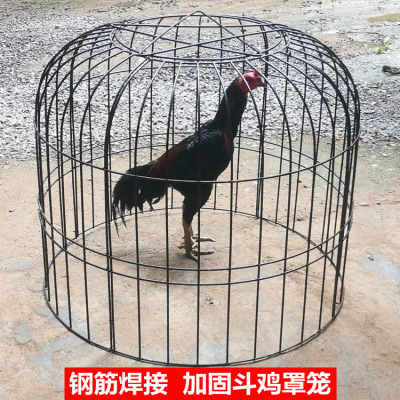 专用跑笼提笼斗鸡训练组装狗笼