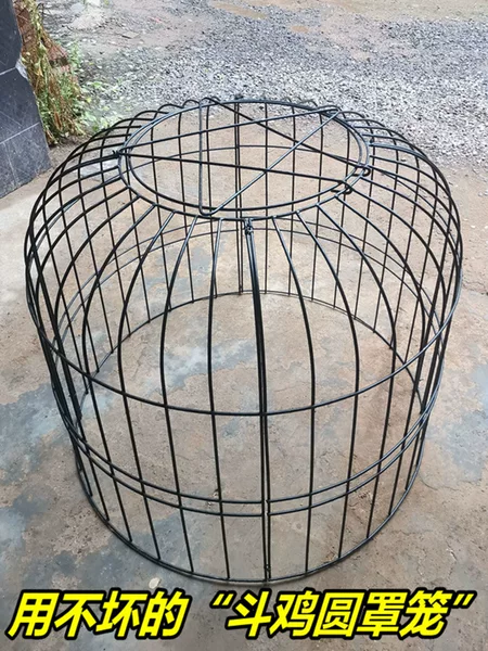 Товары от 宠物客栈8688