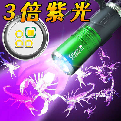 9044蝎子灯手电筒强光手提灯白光紫光双光手提灯充电395nm三倍365