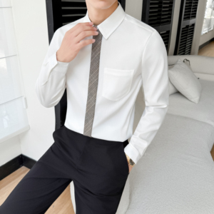 LT201*格子领带男潮流韩版帅气长袖衬衣工作服秋冬男职业装P55图片