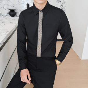 LT201*格子领带男潮流韩版帅气长袖衬衣工作服秋冬男职业装P55图片