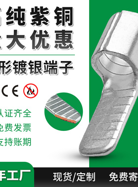 C45插片铜鼻子针形接线冷压端子1.5/4/6/10/25平方片形镀银空开用