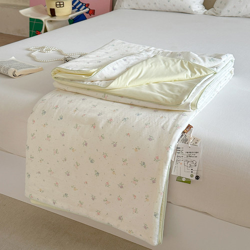 2025春夏新款冰纱夏被夏凉被空调被