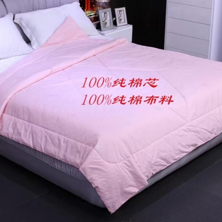 国欣棉被眠眠系列单人双人