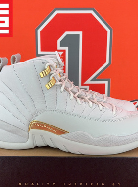 Air Jordan 12男女同款复古AJ12气垫篮球鞋 DR8887-CT9016-FD9101