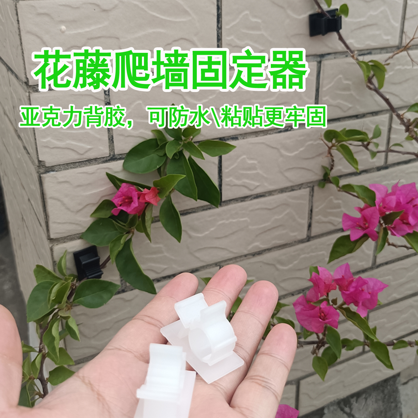 爬藤月季固定器蔷薇墙面园艺室内户外藤本植物牵引卡扣夹上墙神器