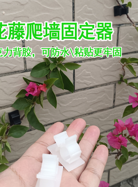 爬藤月季固定器蔷薇墙面园艺室内户外藤本植物牵引卡扣夹上墙神器