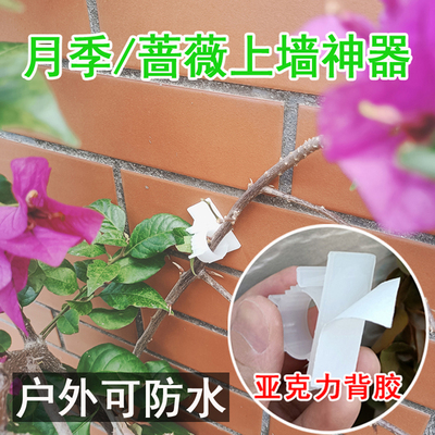 爬墙固定器月季绿植上墙粘贴卡扣