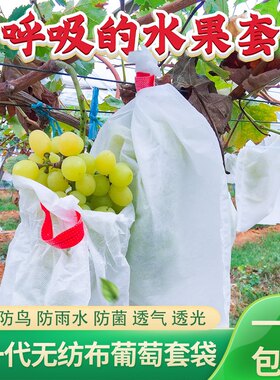 无纺布柿子防鸟抗菌水果保护套袋