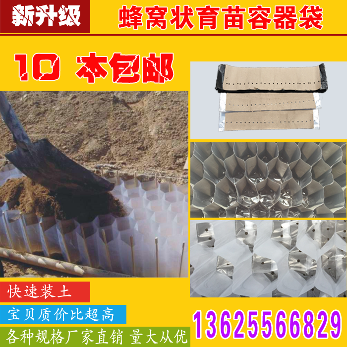 厂家直销蜂窝育苗袋连体容器袋杯营养袋育苗袋快速装土育苗杯10本