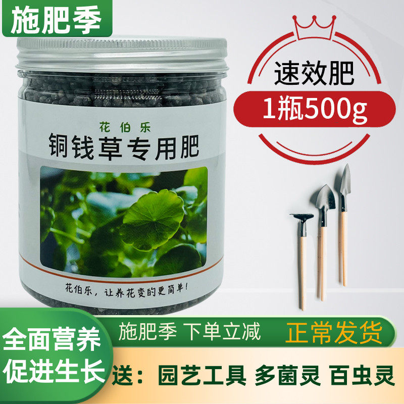 花伯乐铜钱草专用肥盆栽土培肥料水培营养液钱币草水金钱莲复合肥
