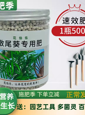 袖珍椰子散尾竹绿叶复合肥