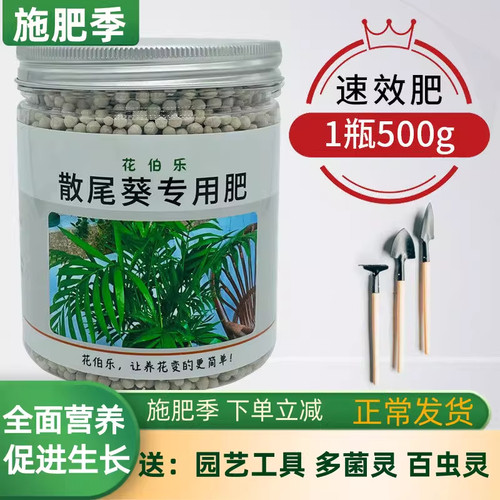 袖珍椰子散尾竹绿叶复合肥
