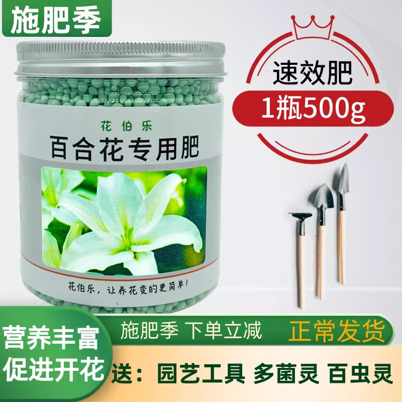 花伯乐百合花专用肥料盆栽花卉促开花肥料香水百合有机复合肥营养