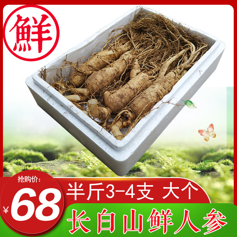 (拍2发500g)长白山新鲜人参带土东北泡酒人叁特大个集安人身整枝