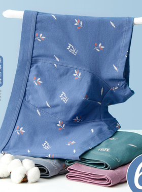 内裤男士秋冬平角裤纯棉大码全棉质透气男生四角短裤衩青年底裤头