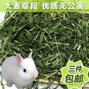 2025优质大麦草段 500g 兔子豚鼠龙猫牧草兔粮富含粗纤维 3件包邮