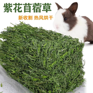 2025年 优质紫花兔草牧草 兔粮 毛重1000克 苜蓿草 龙猫兔子豚鼠