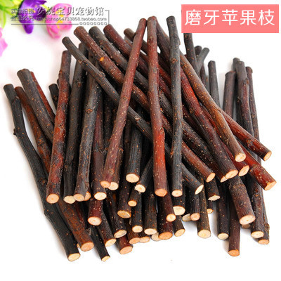 荷兰猪金丝熊苹果树枝零食用品