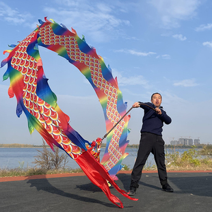 雅琼健身龙花鳞甩龙彩带彩绸中老年广场舞舞龙手甩龙龙头龙衣全套
