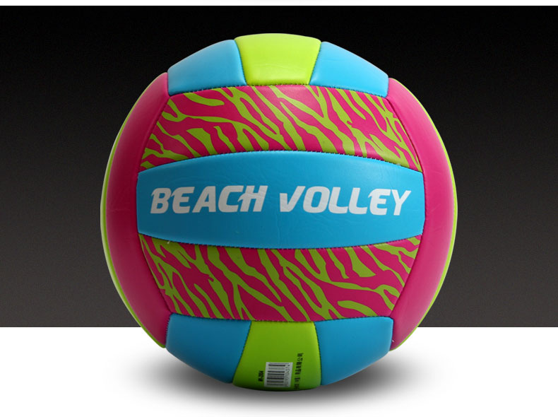 Ballon de volley - Ref 2009672 Image 3