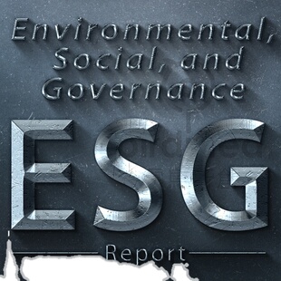 ESG可持续发展年度报告 企业社会责任报告 CSR画册设计环境Social