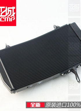 全新原装杜卡迪 Monster plus 怪兽950 怪兽937水箱散热器总成
