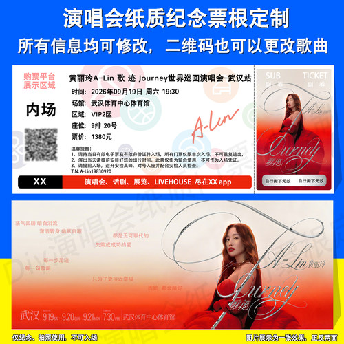 黄丽玲A-Lin演唱会票根定制武汉