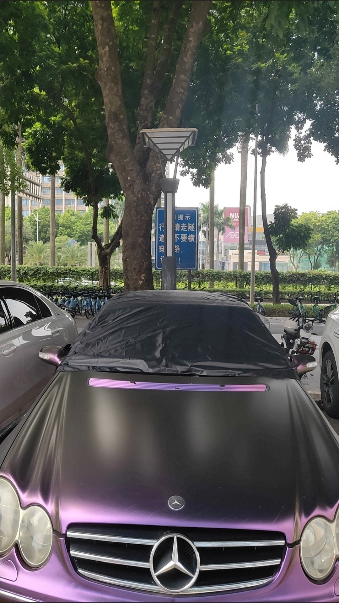 敞篷防护防雨奔驰防猫抓