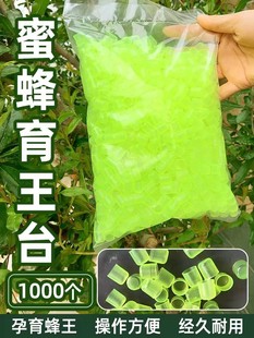 育王王台基王台保护罩中蜂意蜂塑料王台杯王浆条蜂王台育王台养蜂