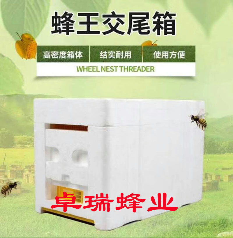 养蜂工具泡沐小蜂王交尾箱蜜蜂宠物箱中蜂意蜂育王箱养蛋群王笼
