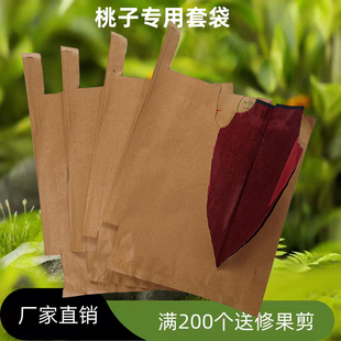 桃子专用套袋冬桃套袋桃子套袋水蜜桃套袋黄桃袋桃子纸袋蟠桃袋子
