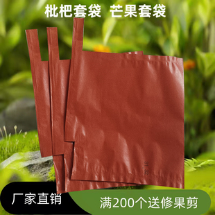 枇杷袋子枇杷专用套袋鸟果袋水果套袋芒果套袋果袋子防虫芒果袋子