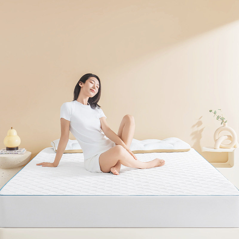 Letsleep/绘睡净螨小护盾床笠A类抗菌防螨虫床垫保护罩拒水床套罩