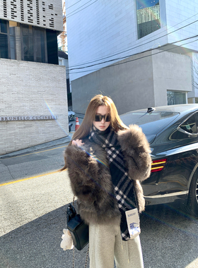 Ashy Snow首尔月光 以假乱真仿狐狸毛晕染环保皮草层次感正肩立领
