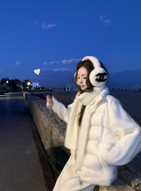 Ashy Snow 冬日精灵 针织袖拼接90白鸭绒立领羽绒服麻花复古温柔