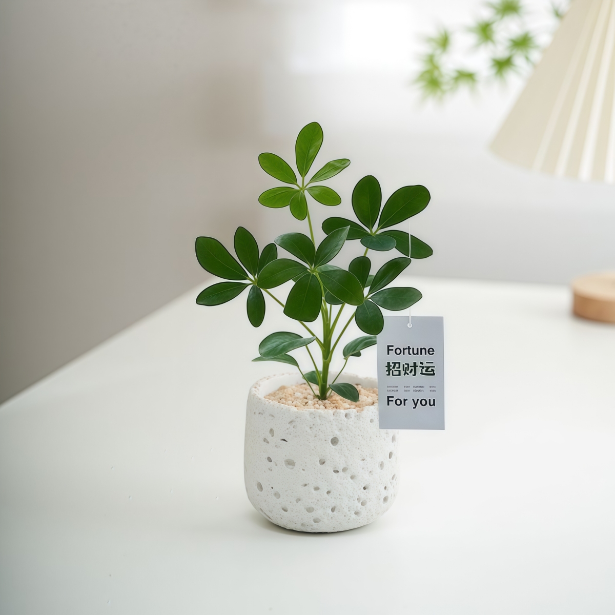 八方来财鸭脚木盆栽工位小摆件