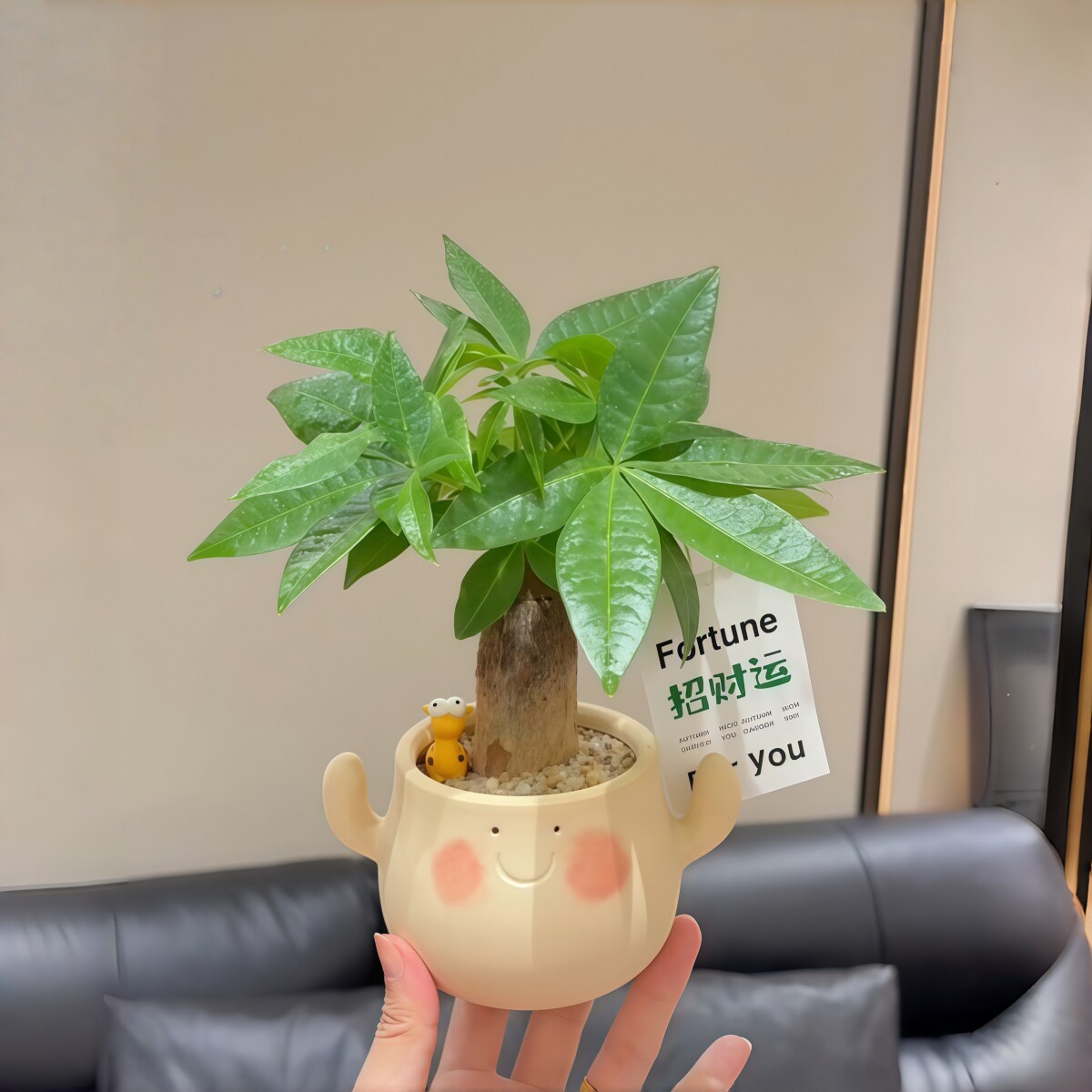 单杆发财树招财植物办公室内工位盆栽绿植花卉四季常青懒人好养