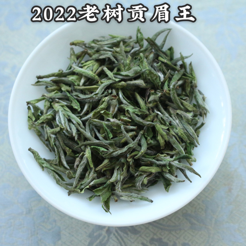 2024春老树贡眉王福鼎白茶贡眉王高山日晒磻溪散茶