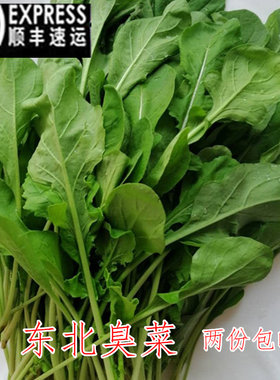 正宗东北新鲜农家蔬菜大叶