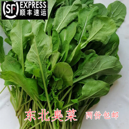正宗东北蘸酱小菜新鲜臭菜农家自种蔬菜大叶叶菜250克一份