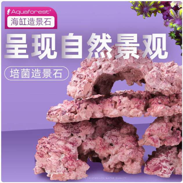 紫色森林进口海缸造景石开缸代替海水活石培菌石免爆藻过滤材料