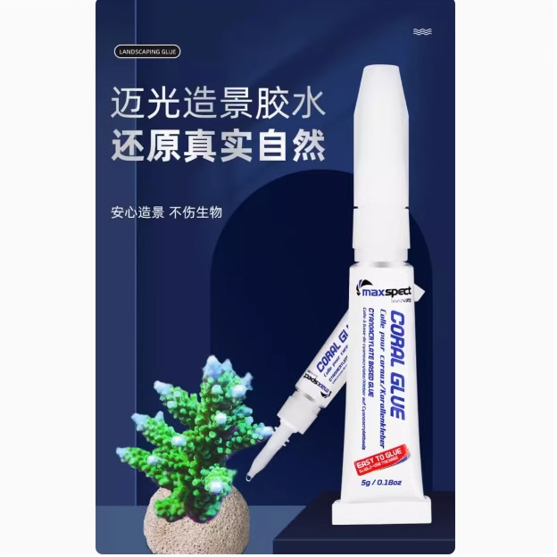 水族专用断肢粘珊瑚活石可水下