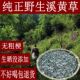 今年新货溪黄草广东肇庆产地发货食用农产品开水冲泡茶英荣特产店