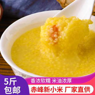 黄小米 新米5斤内蒙赤峰敖汉旗小米2025年农家食用小黄米杂粮袋装