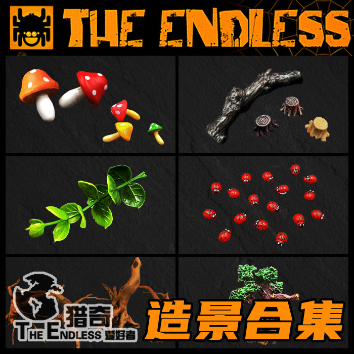 宠物蜘蛛造景装饰TE猎奇DIY材料