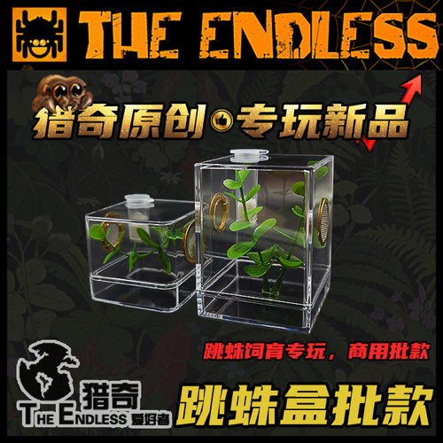 TE猎奇亚克力高透透气饲养盒