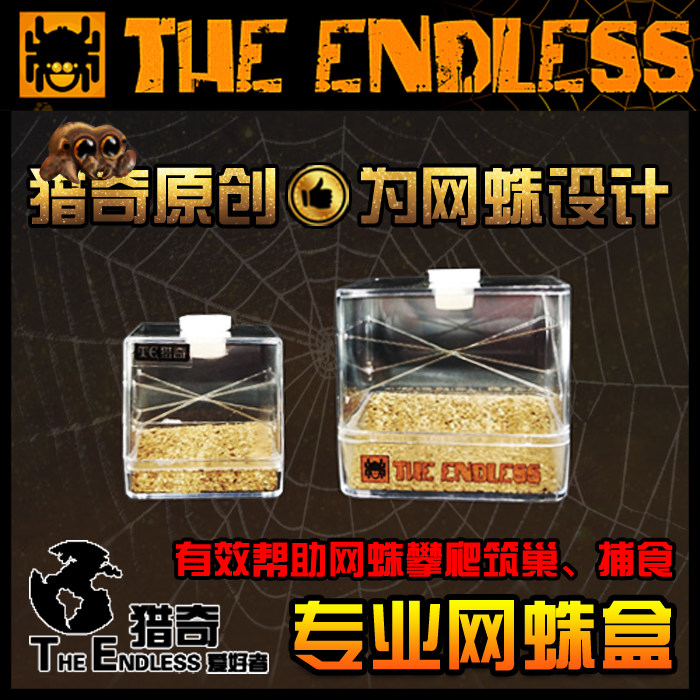 【TE猎奇】网蛛专业饲养盒 黑寡妇蜘蛛饲养盒寇蛛属非捕 饲养盒子