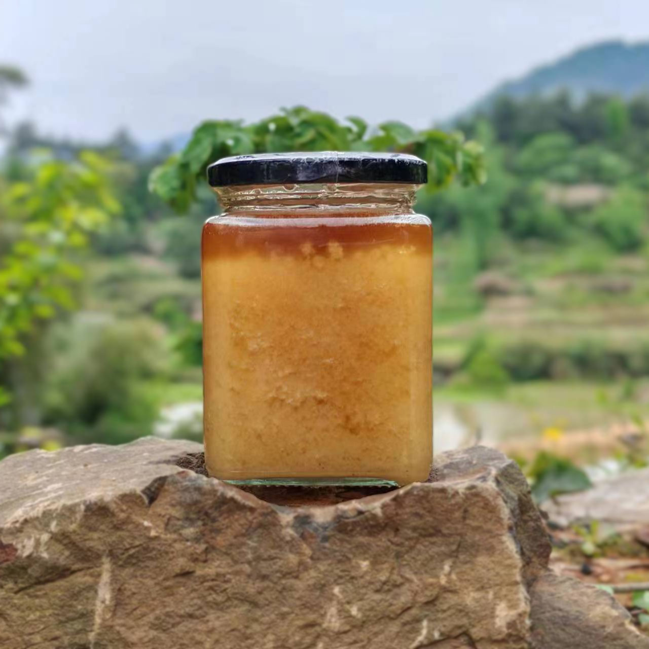 深山土蜂蜜纯 皖南百花蜜自然成熟原蜜野生板栗蜜500g 百花土蜂蜜
